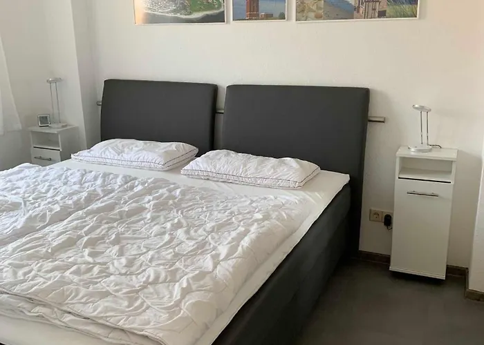 Deichblick Ii * 哈勒西尔